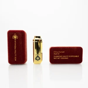 Ace Ultra Premium 2g Disposable